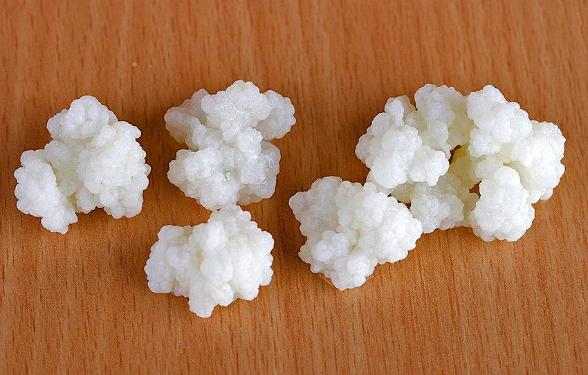 Selbstgemachter Milchkefir im Glas