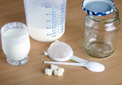 Die Zutaten für den Milchkefir